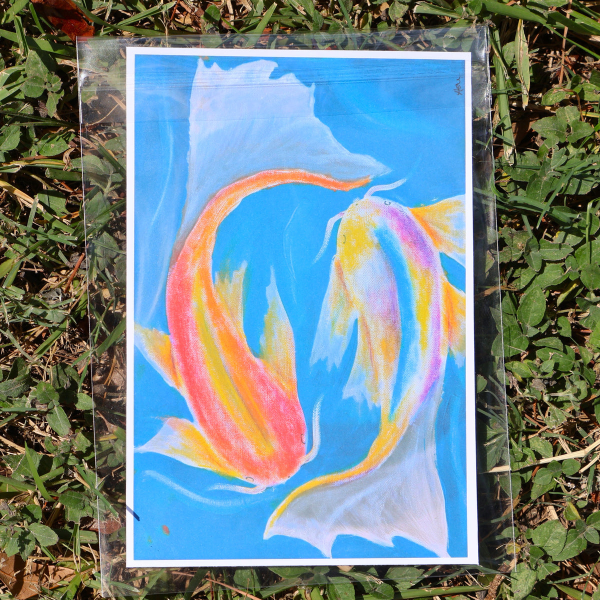 "Fih" Art Print